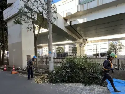 2022年花壇整備・クスノキ剪定 横浜市中区元町にある元町河岸通り会