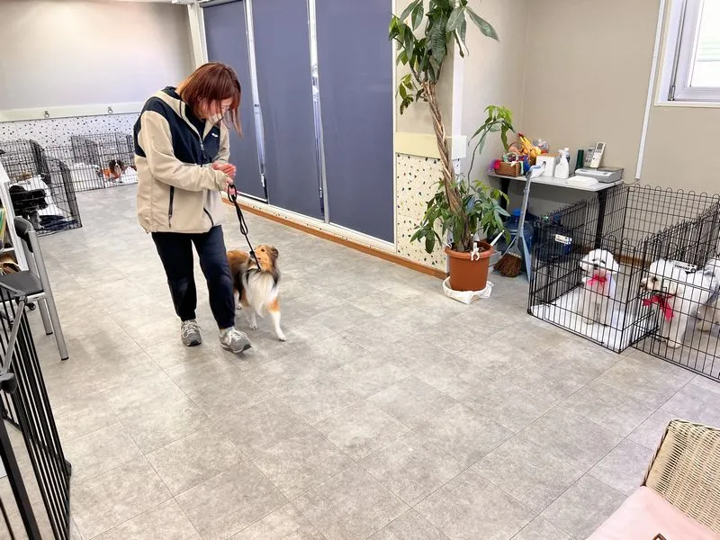 ドックケアハウス店内の様子 横浜元町河岸通り会のお店