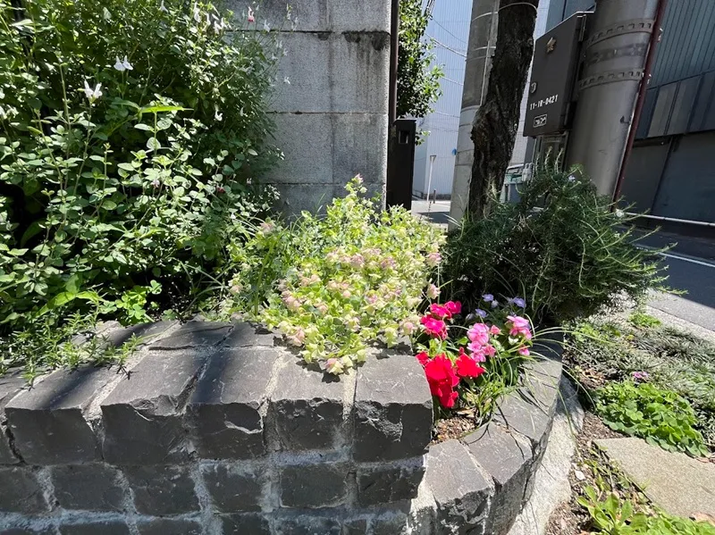 西之橋のたもとの花壇。
横浜元町河岸通り会
