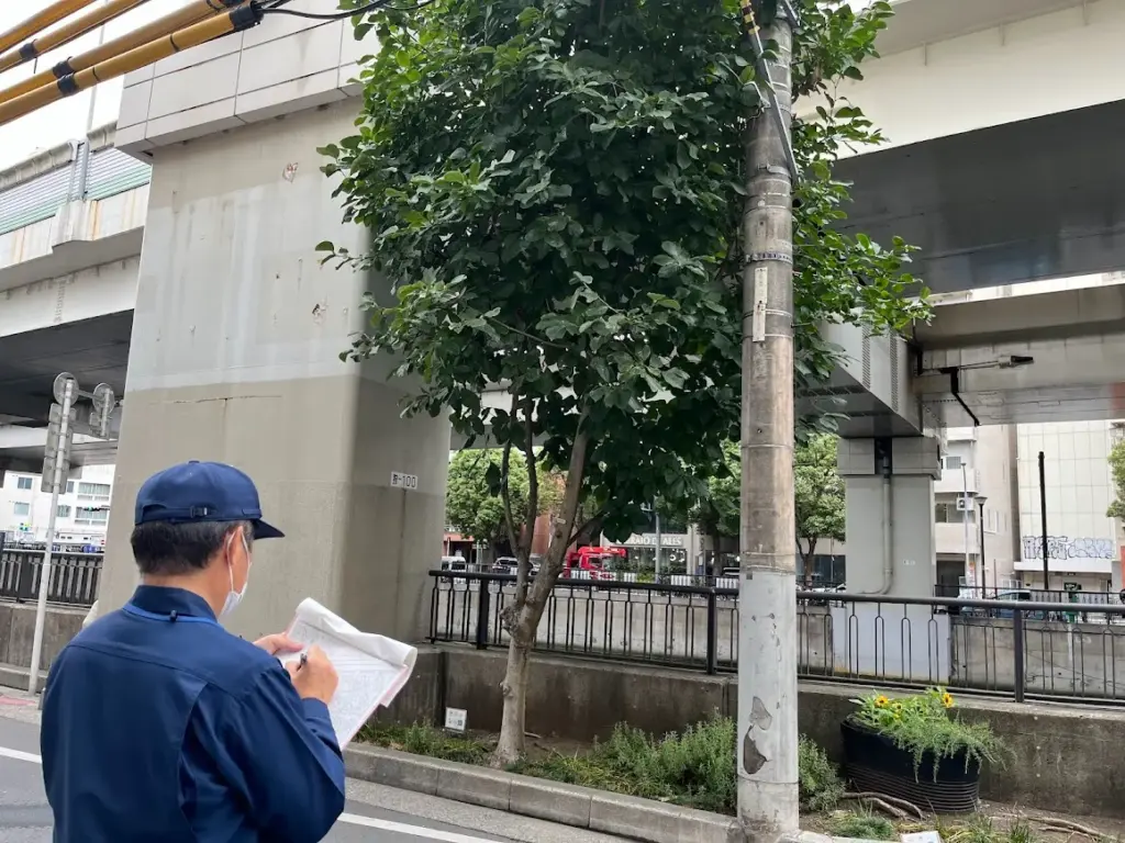 横浜　元町河岸通り　植栽帯　剪定確認　中土木事務所