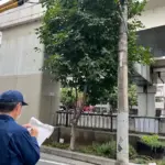 横浜　元町河岸通り　植栽帯　剪定確認　中土木事務所