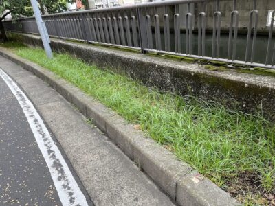 横浜　元町河岸通り　フォトコンテスト　掃除