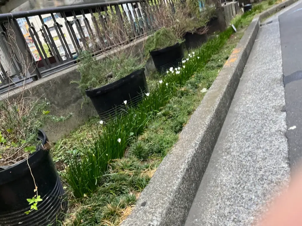 横浜 元町河岸通り フォトコン 貯水タンク アイビー