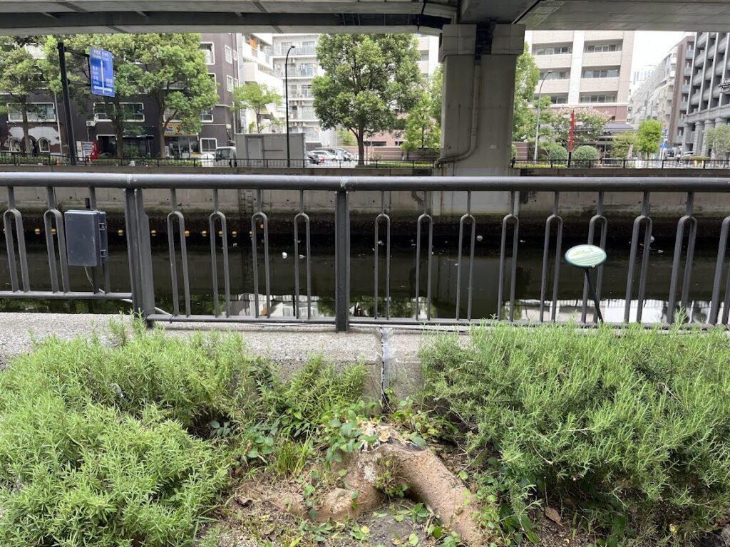 横浜 元町河岸通り フォトコン お掃除