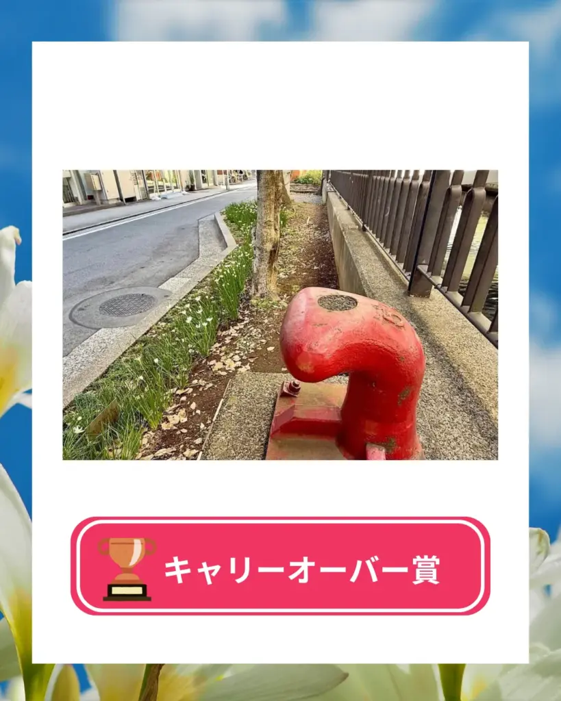 フォトコンテスト2025vol2結果発表 キャリーオーバー賞 横浜元町河岸通り会