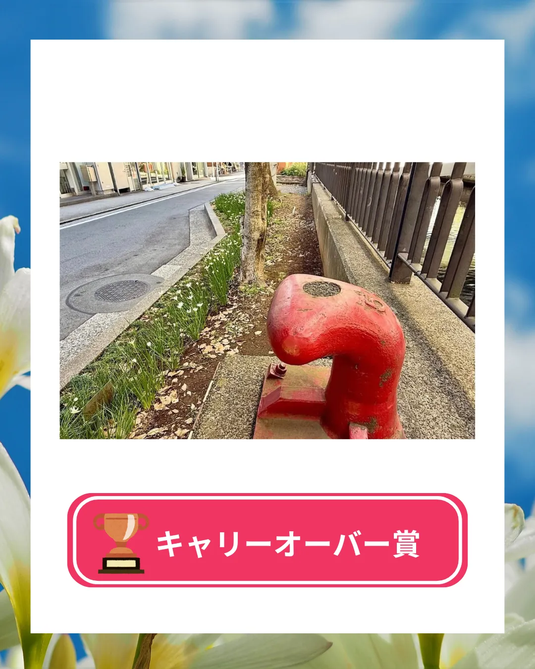 フォトコンテスト2025vol2結果発表 キャリーオーバー賞 横浜元町河岸通り会