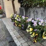 横浜　元町　元町河岸通り　ハンギングバスケット