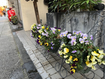 横浜 元町 元町河岸通り ハンギングバスケット