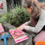 横浜　元町　元町河岸通り　チューリップ