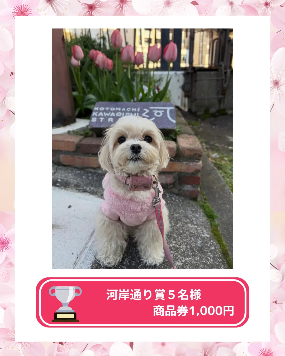 フォトコンテスト2026結果発表 河岸通り賞 横浜元町河岸通り会