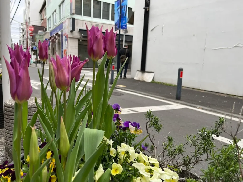 元町の水辺の顔河岸通り 河辺に咲く花々、歴史を刻む風景、日々の暮らしが交わる元町の水辺 横浜元町の商店街 元町河岸通り会
