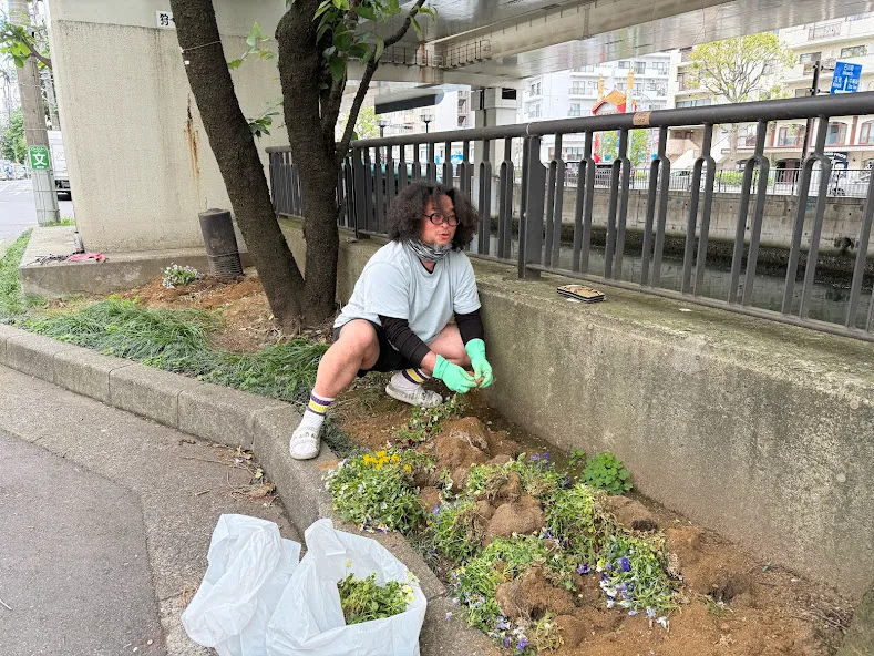 ハンキングバスケット植え替えイベント 横浜元町の商店街 元町河岸通り会