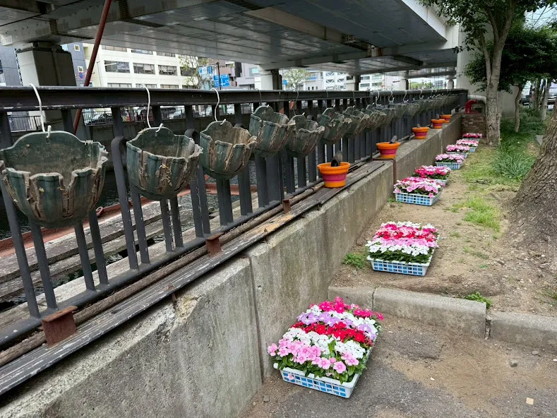 ハンキングバスケット植え替えイベント 横浜元町の商店街 元町河岸通り会