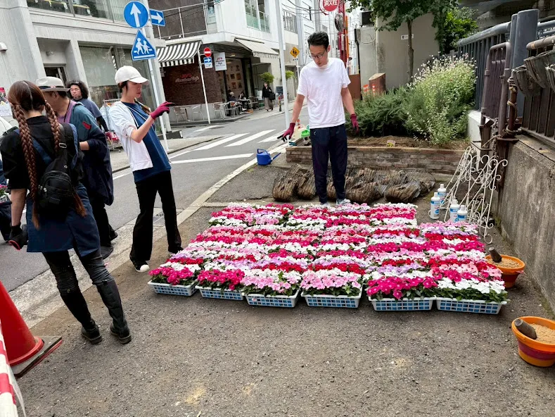 ハンキングバスケット植え替えイベント 横浜元町の商店街 元町河岸通り会